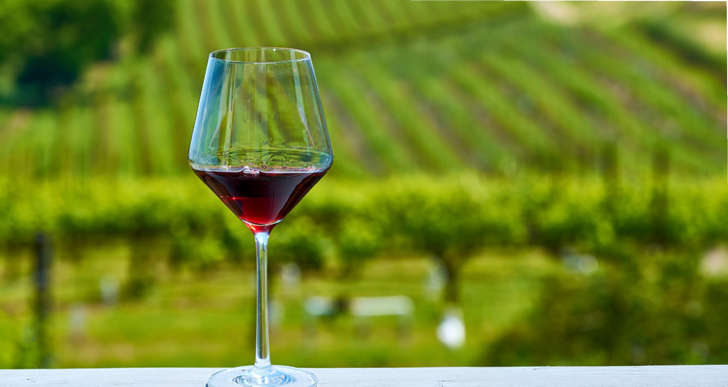 Wine glass green background