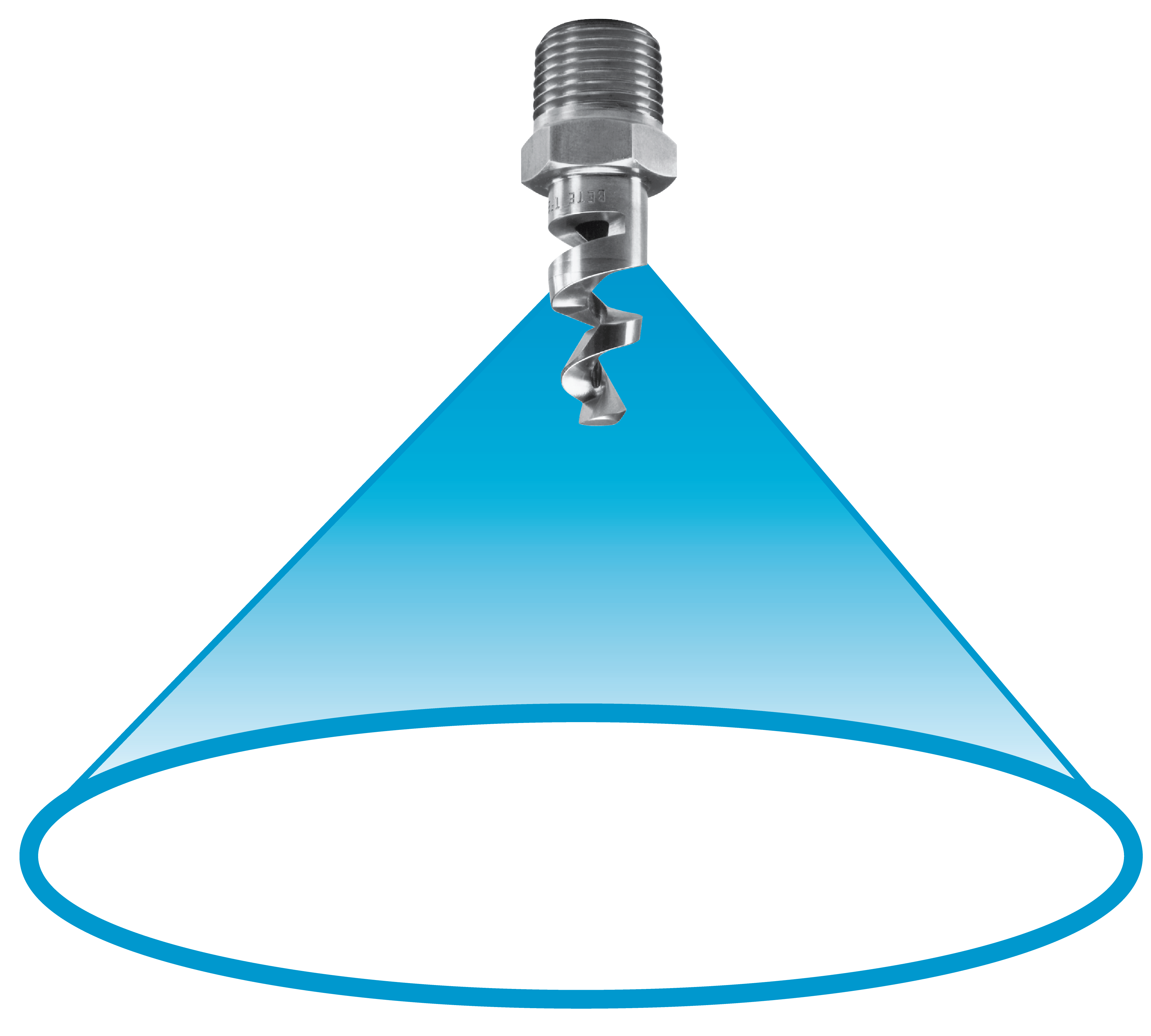 Detail of a Hollow Full Cone.