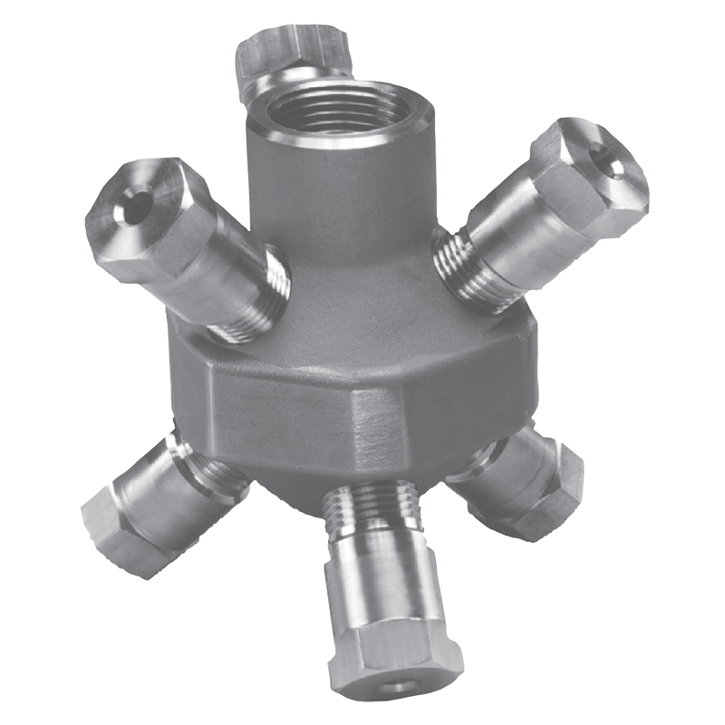 Detail of the BETE CLUMP