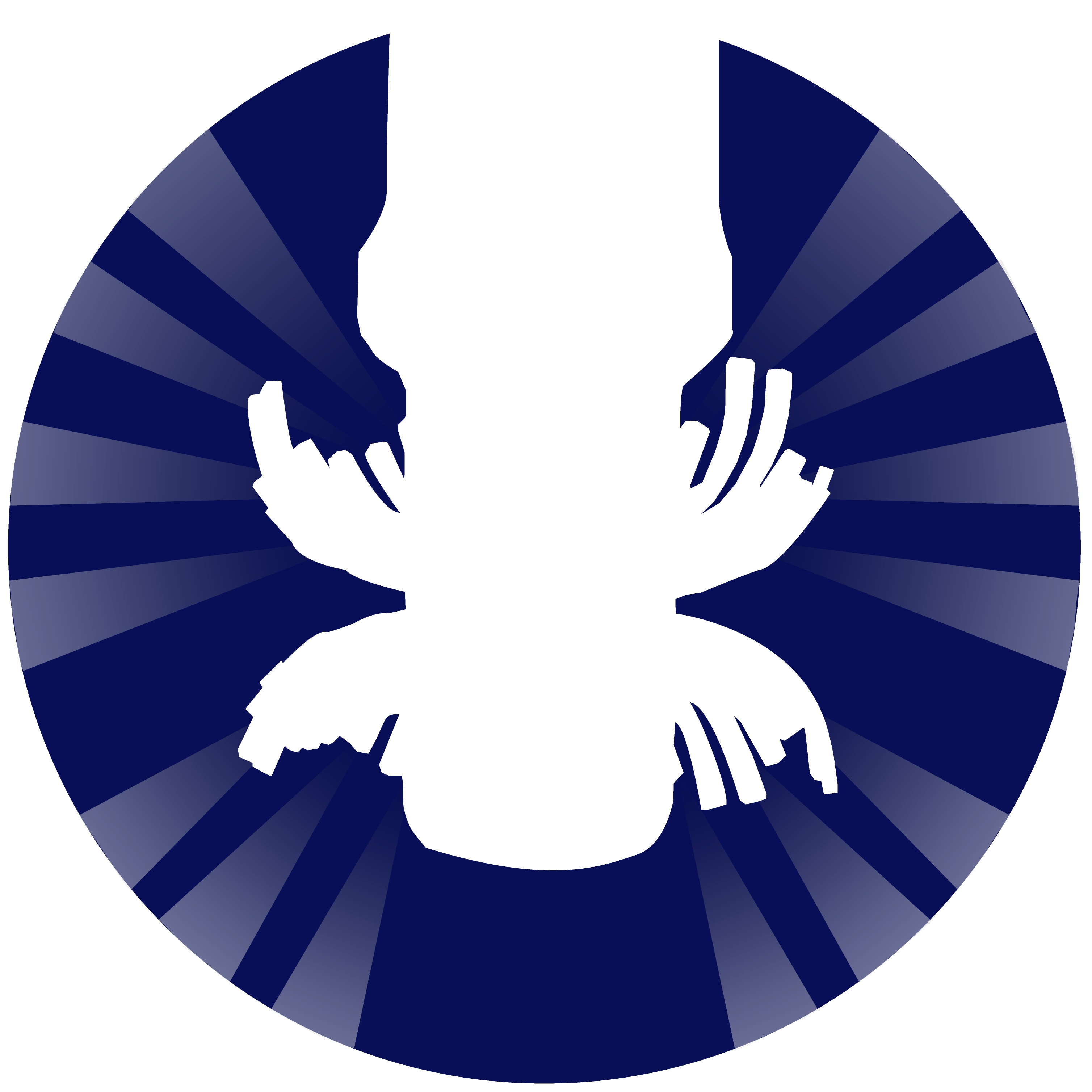 Detail of the Tank Cleaning Spray Pattern Icon